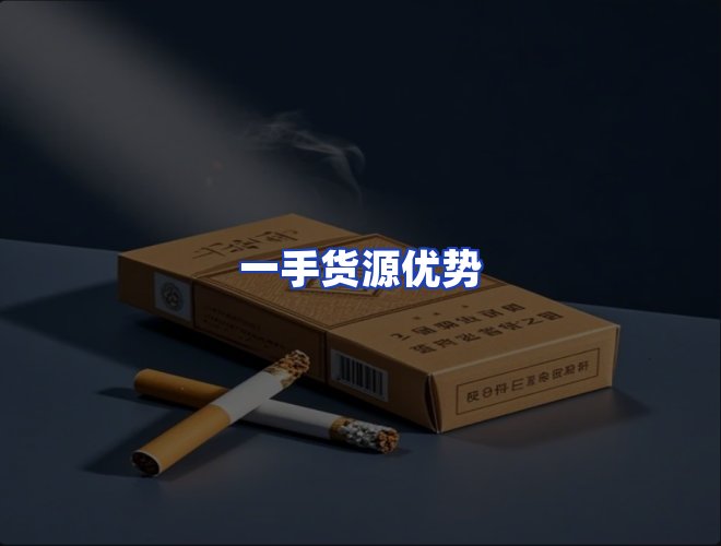 专业团队